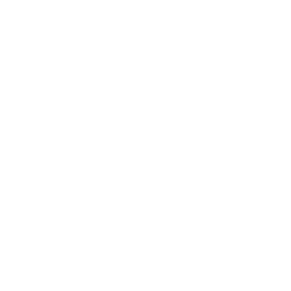 WordPress icone