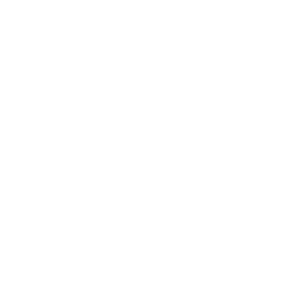 vue icone